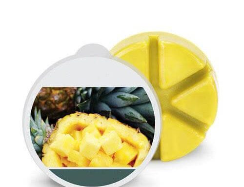 Pineapple Wax Melts